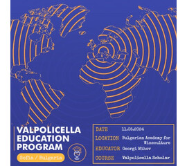 Курс "Valpolicella Scholar"