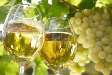 Бяло вино - видове, сортове и вина